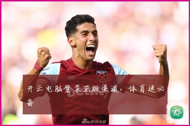 开云电脑登录正版渠道，体育迷必备