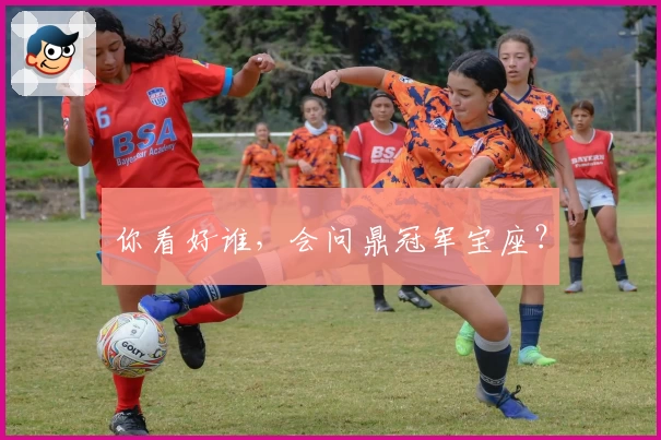 你看好谁，会问鼎冠军宝座？