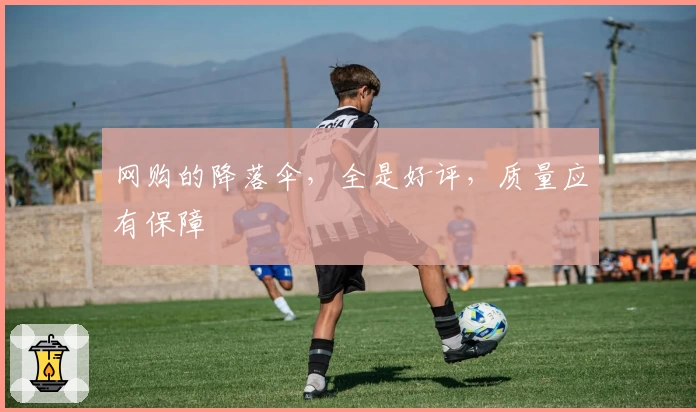 网购的降落伞，全是好评，质量应有保障